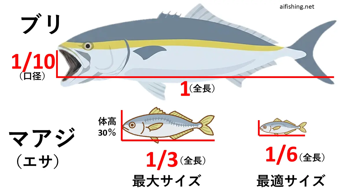 ブリがマアジを捕食する場合の最適・最大のサイズ