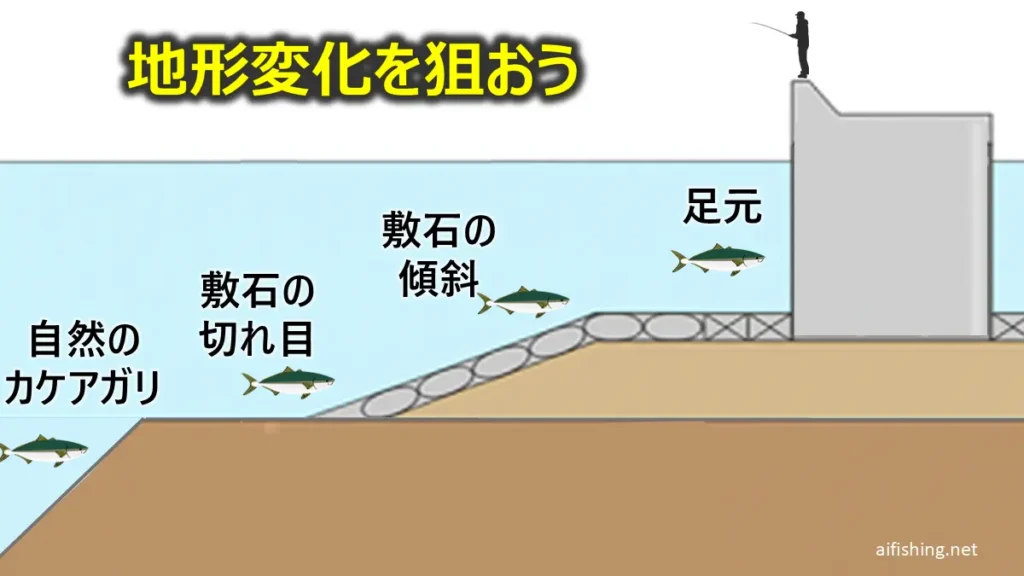ブリの回遊ルートとなる地形変化