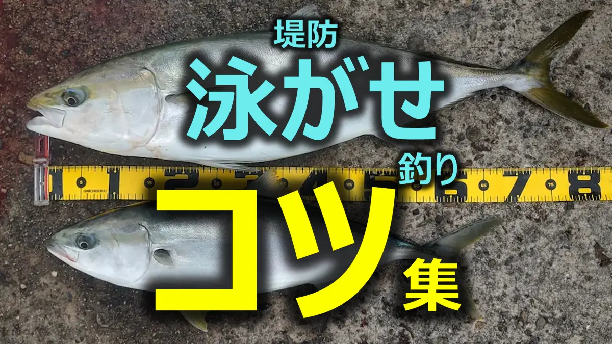 堤防泳がせ釣りのコツ集です。