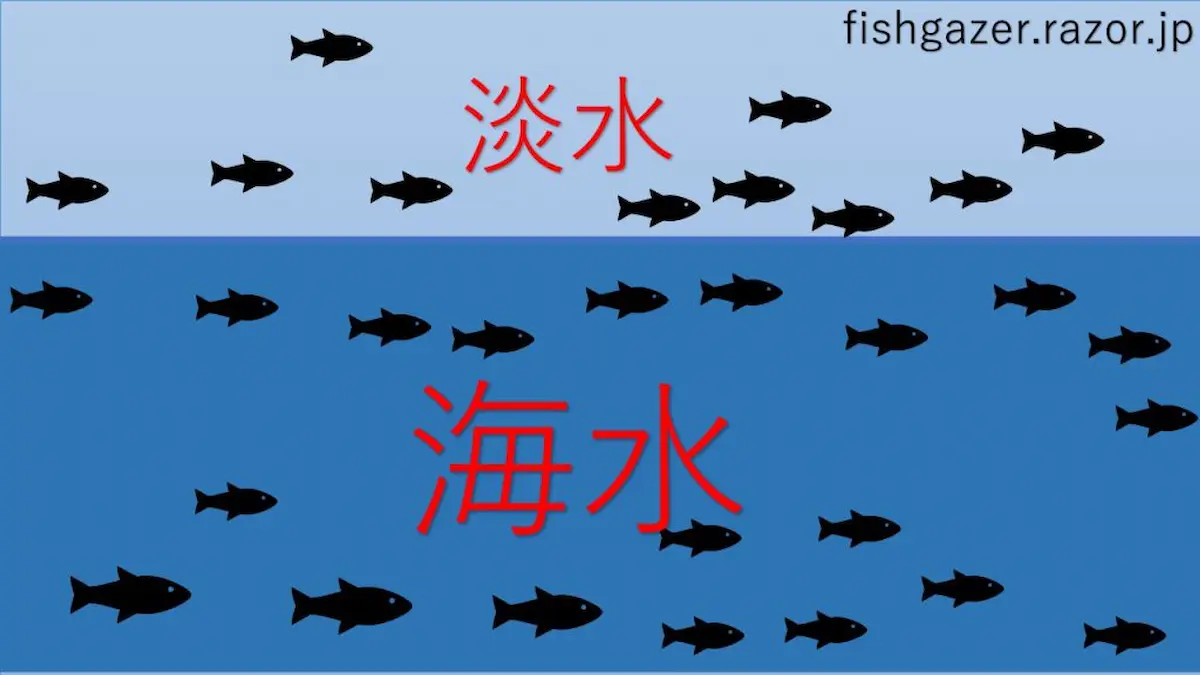 淡水と海水