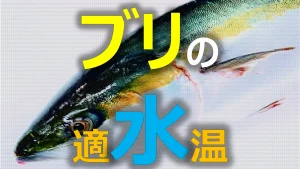 ブリの適水温 調査