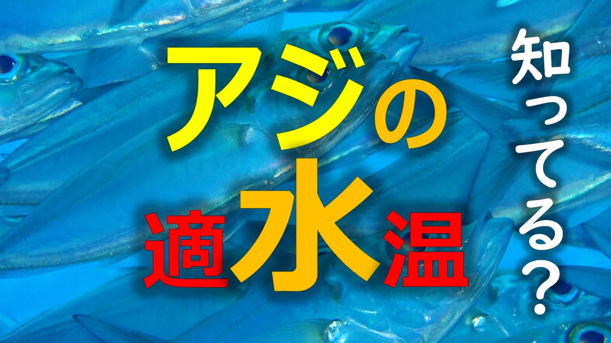 アジの適水温 に関する調査