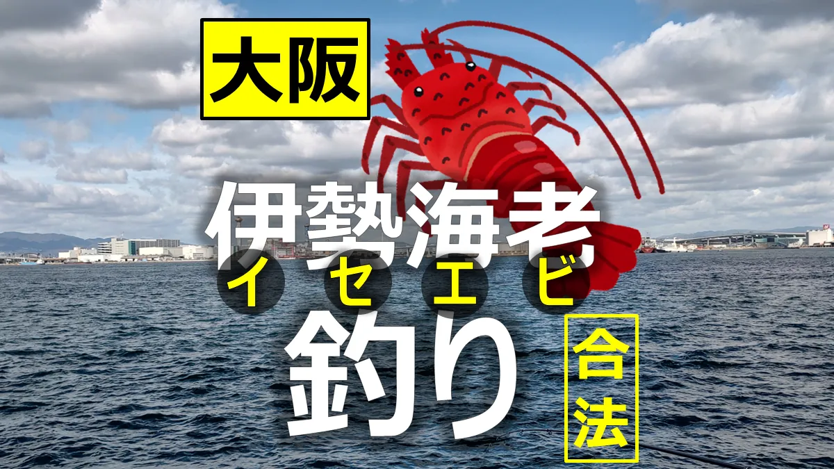 大阪府で漁業権的に伊勢海老釣りがOKな場所を調べました