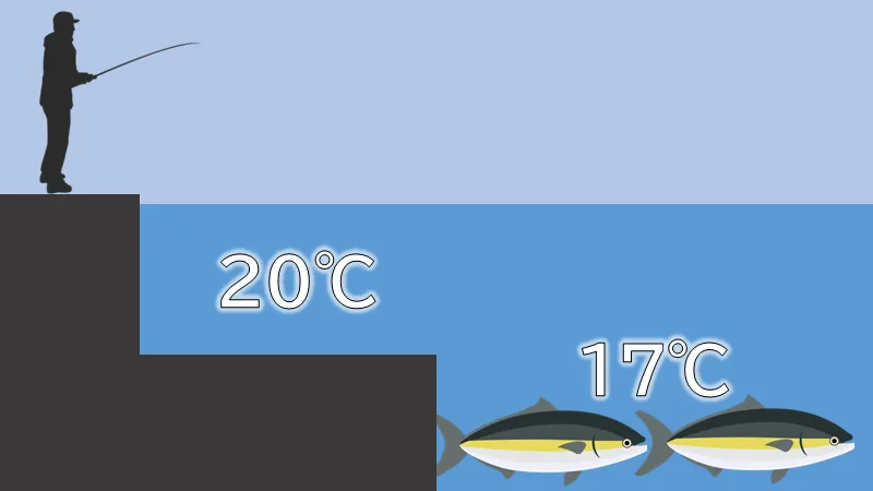 適水温 水温が魚に与える影響