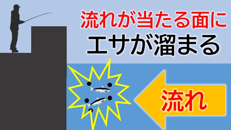 流れが当たる面にエサが溜まる