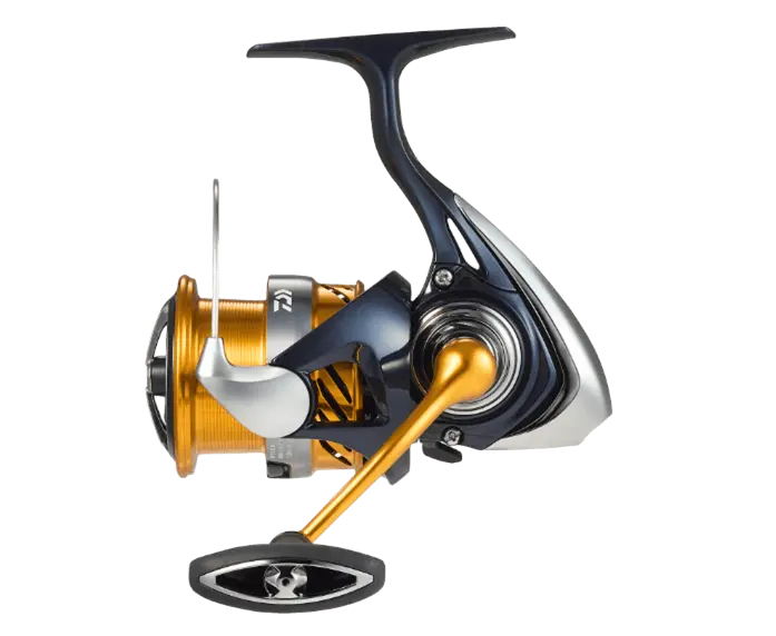 24revros-image.webp