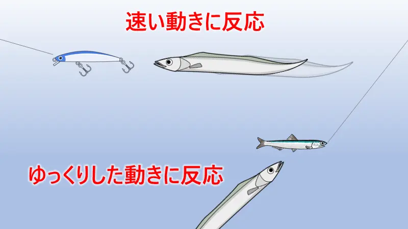 タチウオの釣り方はタチウオがどのような魚を狙うかによって異なる