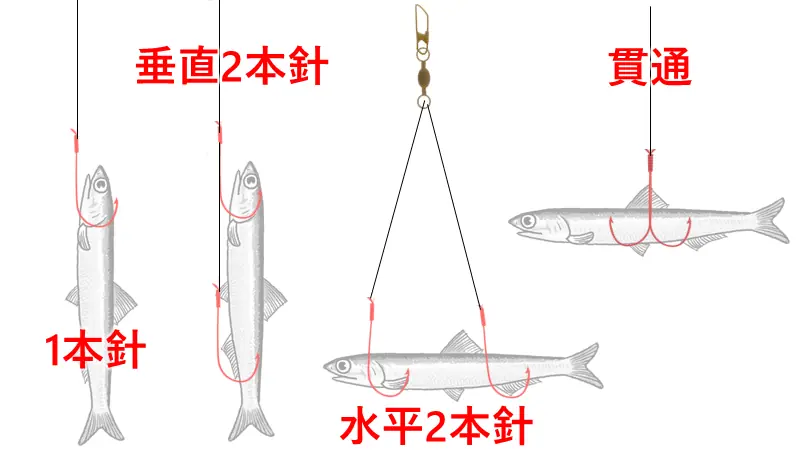 仕掛け】タチウオのウキ釣り爆釣のポイント 【中篇】