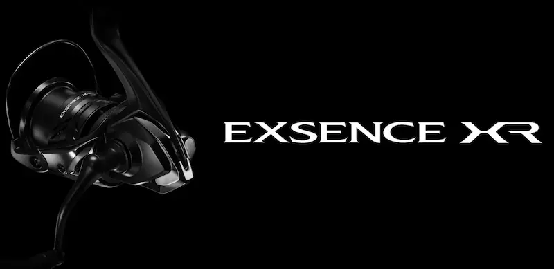 エクスセンスXRのイメージ