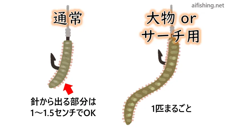 アオイソメ、イシゴカイのつけ方