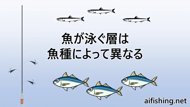 魚が泳ぐ層は魚種によって異なる