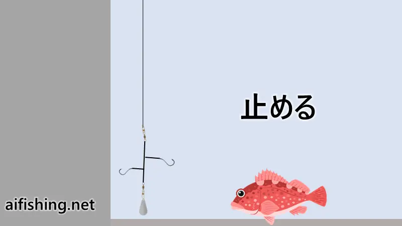 胴突き釣りのステップ２少し止めます