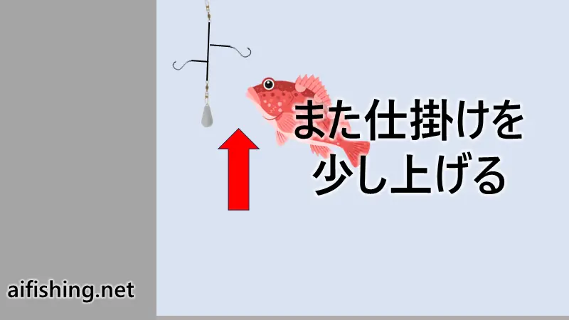 胴突き釣りのステップ５また仕掛けを少し上げます