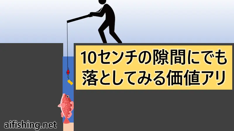 穴釣りをするときは、わずかな隙間にも魚はいますので、積極的に狙うようにします。