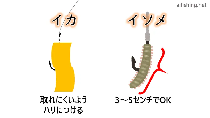 ブラクリ仕掛けへのエサ付け方法。イカはチョン掛け、イソメは通し刺しにする。