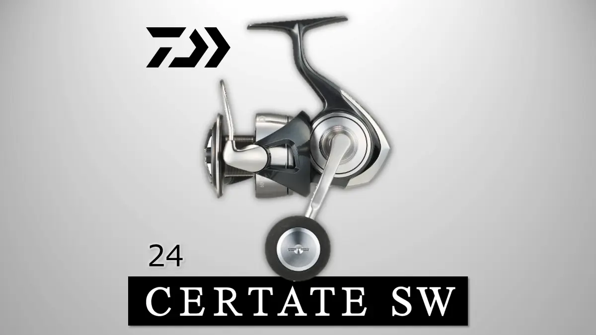 24セルテートSWの購入完全ガイド