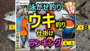 堤防泳がせ釣りのウキ仕掛けランキング