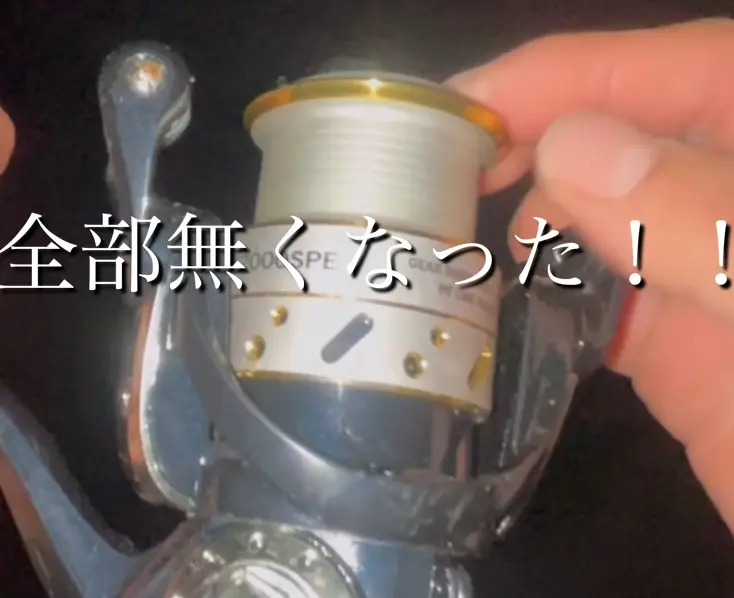 リール「ラグジス　LX2000SPE」（プロマリン）