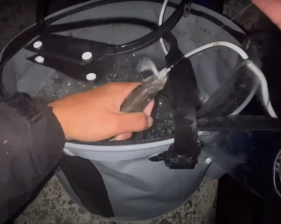 活アジブクバケツ（タカ産業）