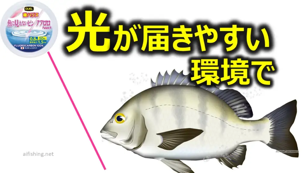 「魚に見えないピンクフロロ」は光が届く環境で有効？