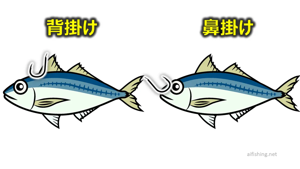 背掛けと鼻掛け