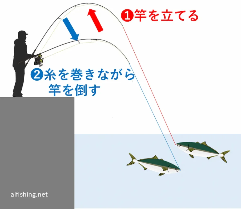 ポンピングは、1:竿を立てる、2:糸を巻きながら竿を倒すの繰り返し