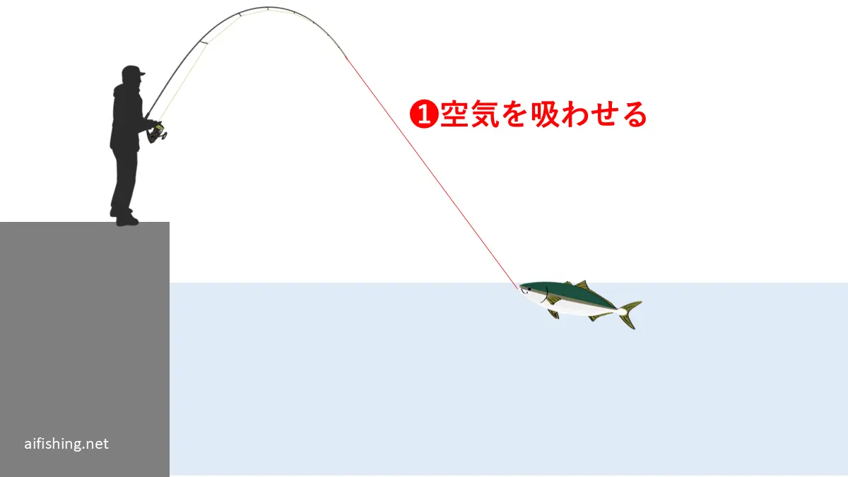 取り込みのステップ1:魚に空気を吸わせる