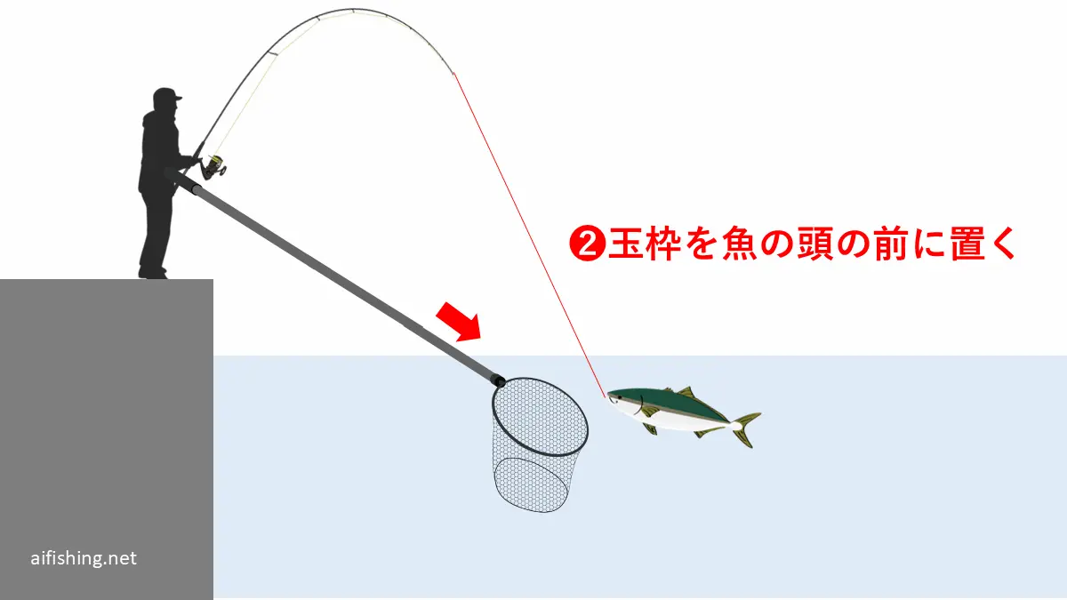 取り込みのステップ2:玉網を伸ばして魚の頭の前に置く