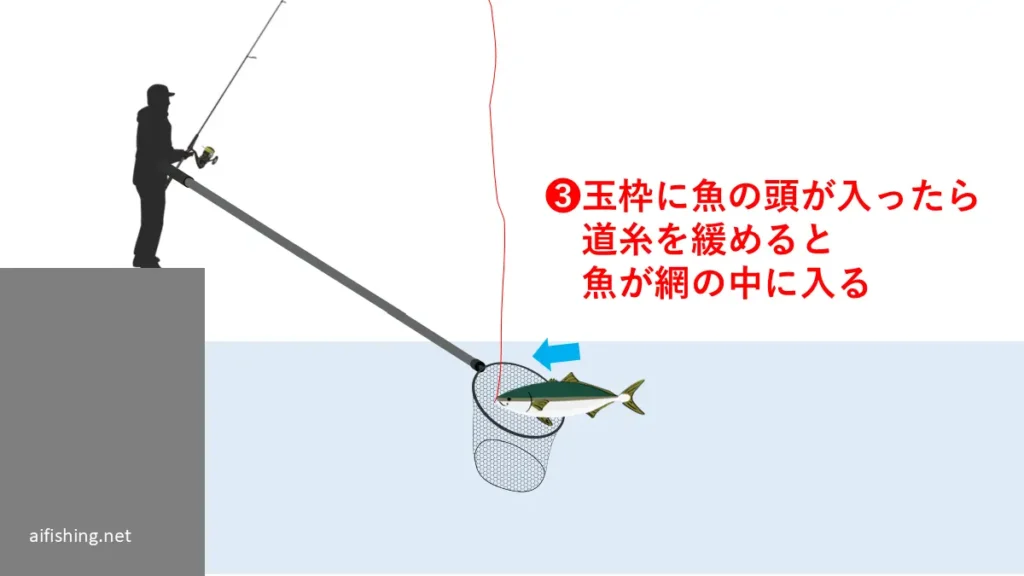 取り込みのステップ3:玉枠に魚の頭が入ったら道糸を緩める