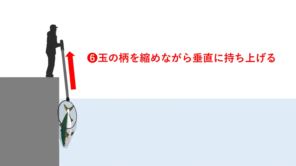 取り込みのステップ６：玉の柄を縮めて垂直に持ち上げる