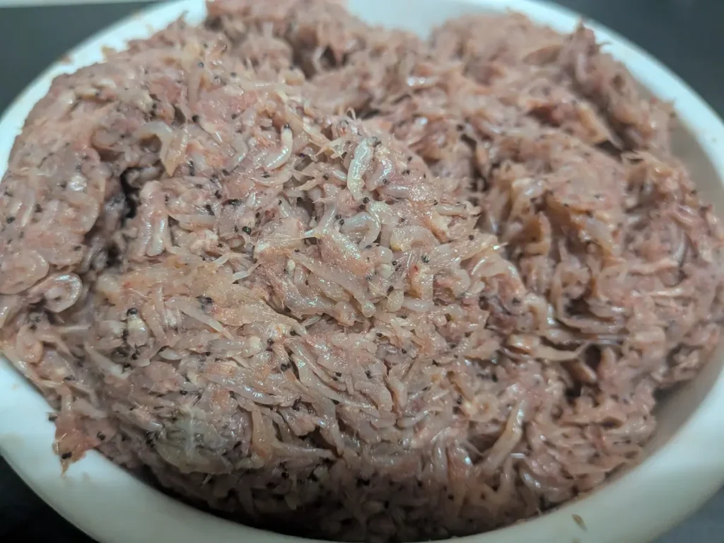 国産アミエビのアップ