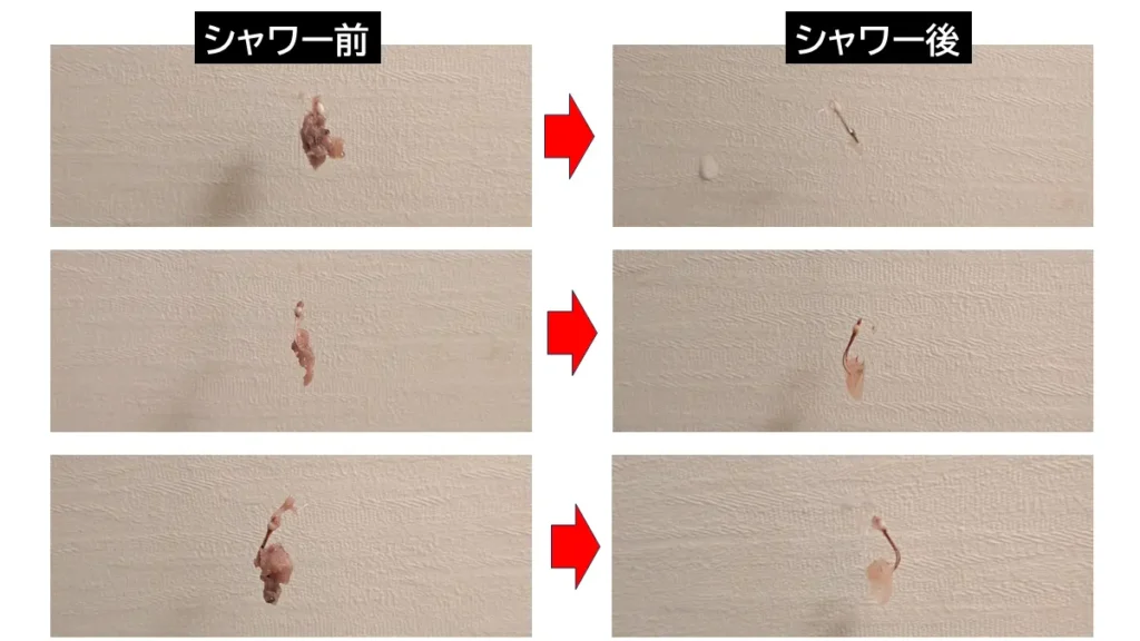 中国産アミエビのトリック仕掛けの付き具合