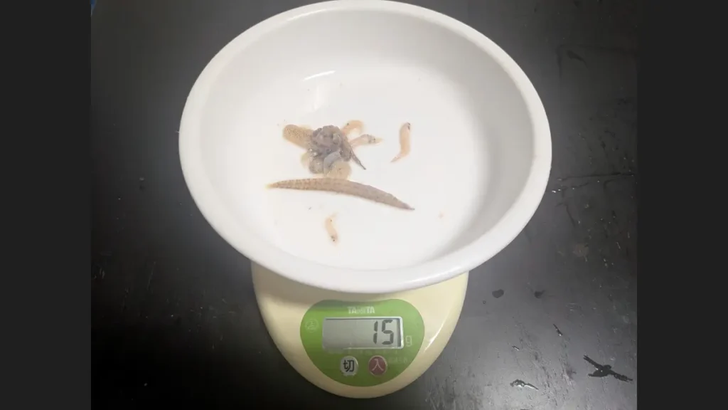 中国産アミエビ1/20に含まれていた異物の重さは15g