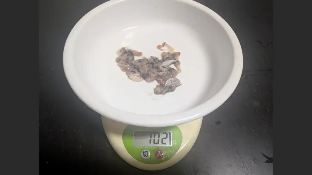 中国産アミエビ1/8に含まれていた異物の重さは102g