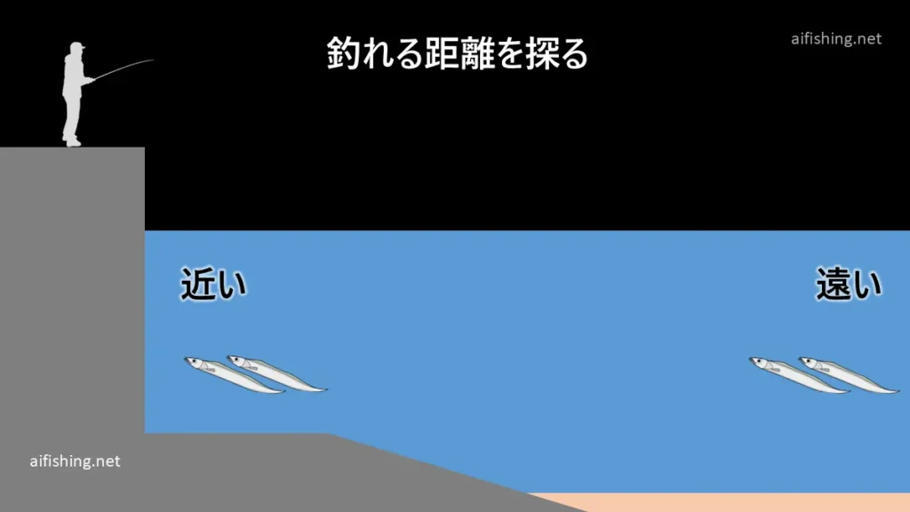 タチウオの回遊距離を探しながら釣る